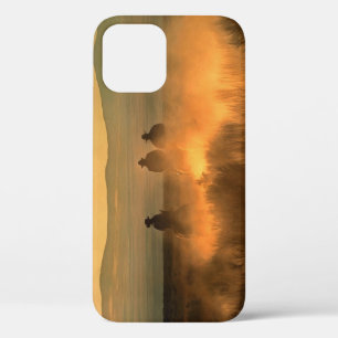 Cowboy Trio: Bergachtige achtergrond galop. Case-Mate iPhone Case