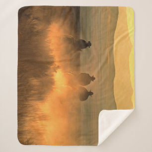 Cowboy Trio: Bergachtige achtergrond galop. Sherpa Deken