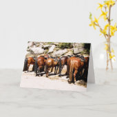 Cowboy Up wordt snel beter Kaart (Gele Bloem)