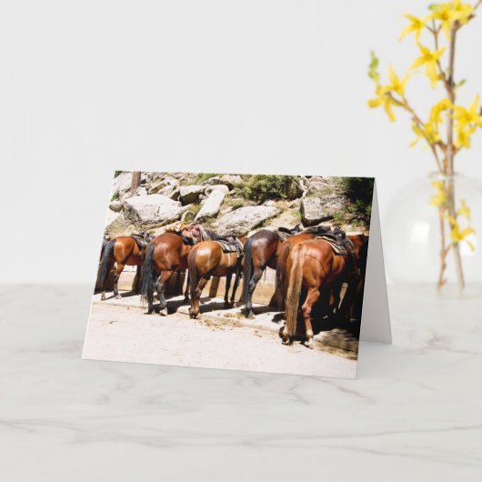 Cowboy Up wordt snel beter Kaart (Gele Bloem)