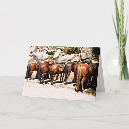 Cowboy Up wordt snel beter Kaart (Voorkant)