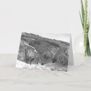 Cowboy van zijn kudde wordt gescheiden die kaart