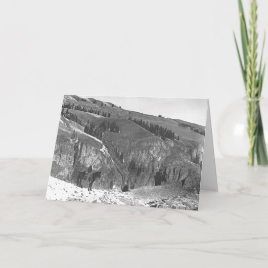 Cowboy van zijn kudde wordt gescheiden die kaart (Voorkant)