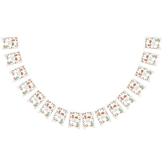 Cowboy Western First Rodeo Birthday Party  Vlaggetjes (Alle)