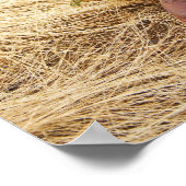 Cowboylaarzen 2 poster (Hoek)