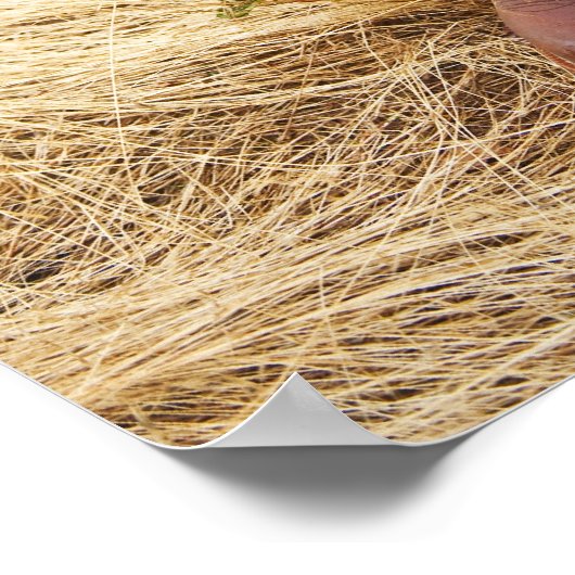 Cowboylaarzen 2 poster (Hoek)