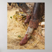 Cowboylaarzen 2 poster (Voorkant)