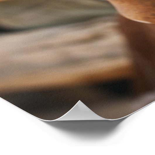 Cowboylaarzen op hek 2 poster (Hoek)