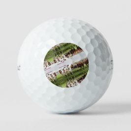Cowboys & Cowgirls Golfballen