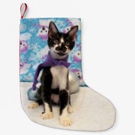 Cowboy's Cute Cat met Kerstmis. Kleine Kerstsok