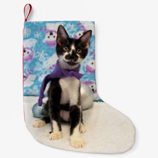 Cowboy's Cute Cat met Kerstmis. Kleine Kerstsok (Voorkant)