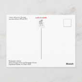 Cowboys die uiteten op het Briefkaart (Achterkant)