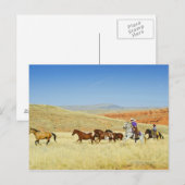 Cowboys herende paarden briefkaart (Voorkant / Achterkant)