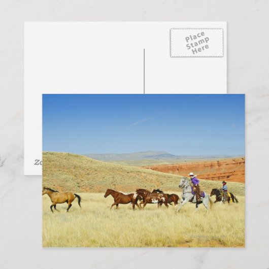 Cowboys herende paarden briefkaart (Voorkant / Achterkant)