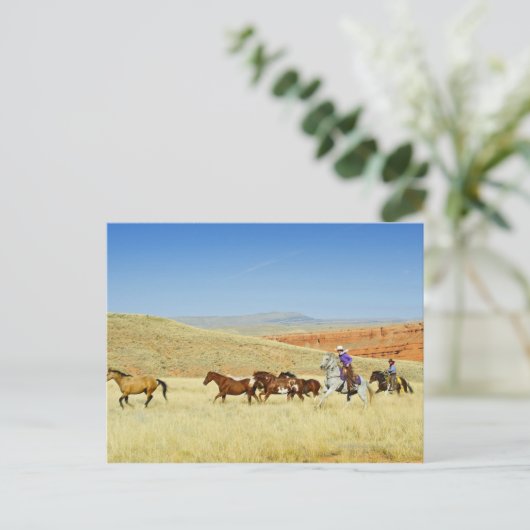 Cowboys herende paarden briefkaart (Staand voorkant)
