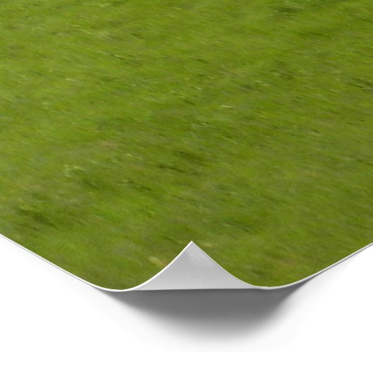 Cowboy's herinneringen.... poster (Hoek)