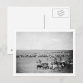 Cowboys met vee op de foto van de Waaier Briefkaart (Voorkant / Achterkant)