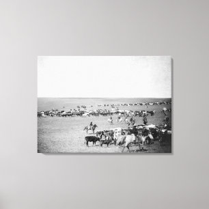 Cowboys met vee op de foto van de Waaier Canvas Afdruk