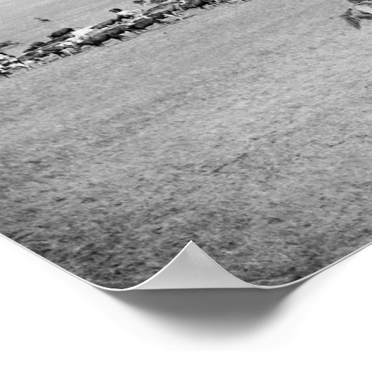 Cowboys met vee op de foto van de Waaier Poster (Hoek)