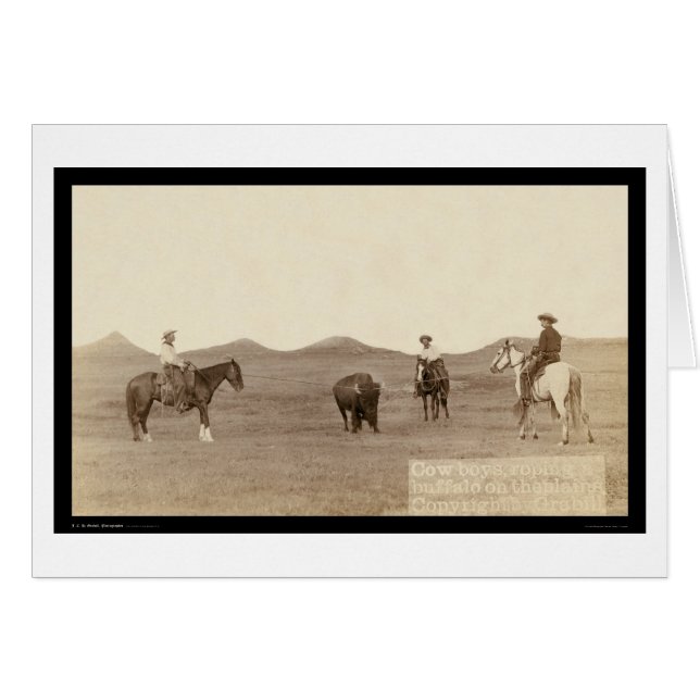 Cowboys Roping A Buffalo SD 1887 (Voorkant Horizontaal)