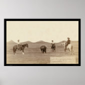 Cowboys Roping A Buffalo SD 1887 Poster (Voorkant)