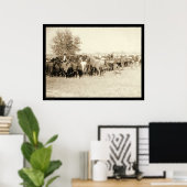 Cowboys Roping a Herd of Horses SD 1887 Poster (Thuiskantoor)