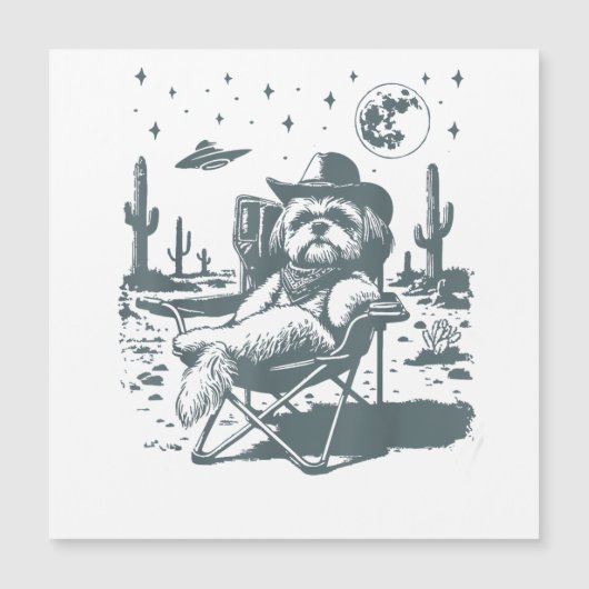 Cowboys UFO Western (Voorkant)