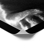 Cowdog Poster (Hoek)