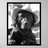 Cowdog Poster (Voorkant)