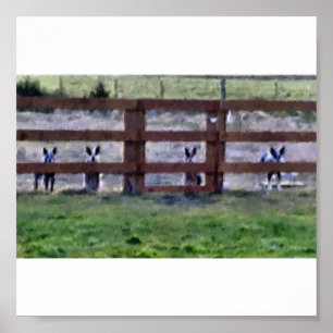 cowdogs op de omheining poster