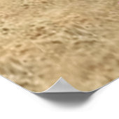 COWGIRL CATFIGHT WRESTLAND #1 POSTER (Hoek)