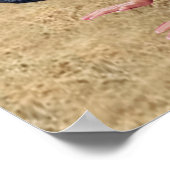 COWGIRL CATFIGHT WRESTLAND #2 POSTER (Hoek)