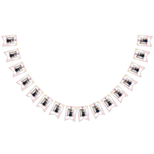 Cowgirl First Rodeo Birthday Bunting Photo Banner (Alle)