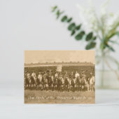 Cowgirl  Foto 1911 Roundup Briefkaart (Staand voorkant)