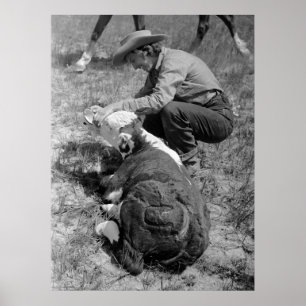 Cowgirl Giving TLC, 1930 Poster