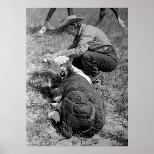 Cowgirl Giving TLC, 1930 Poster (Voorkant)