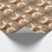 Cowgirl mode westerne land cowboy laars cadeaupapier (Hoek)