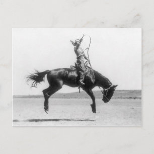 Cowgirl op paard vintage foto briefkaart
