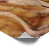  Cowgirl Poster (Hoek)