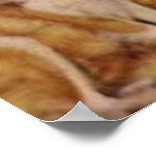  Cowgirl Poster (Hoek)