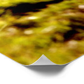 Cowgirl Ranch Poster (Hoek)