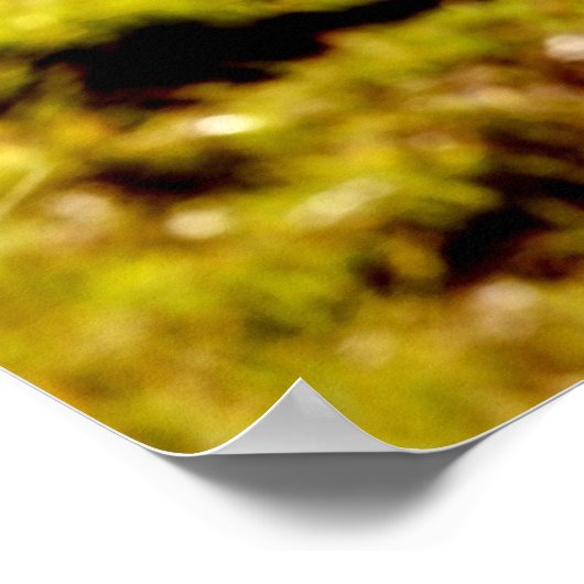 Cowgirl Ranch Poster (Hoek)