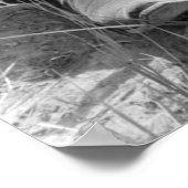 Cowgirl Rassling a Calf, jaren '30 Poster (Hoek)