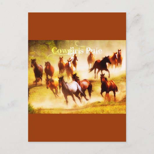 Cowmemeisjesregel Briefkaart (Voorkant)