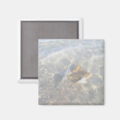 Cownose Stingray OBX-reeks Magneet (Voorkant / Achterkant)