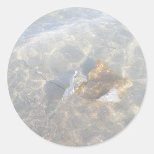 Cownose Stingray OBX-reeks Ronde Sticker
