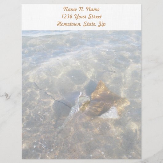 Cownose Stingray OBX Series Letterhead Custom Briefhoofd (Voorkant)