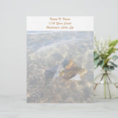 Cownose Stingray OBX Series Letterhead Custom Briefhoofd (Staand voorkant)