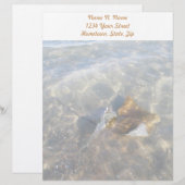 Cownose Stingray OBX Series Letterhead Custom Briefhoofd (Voorkant / Achterkant)