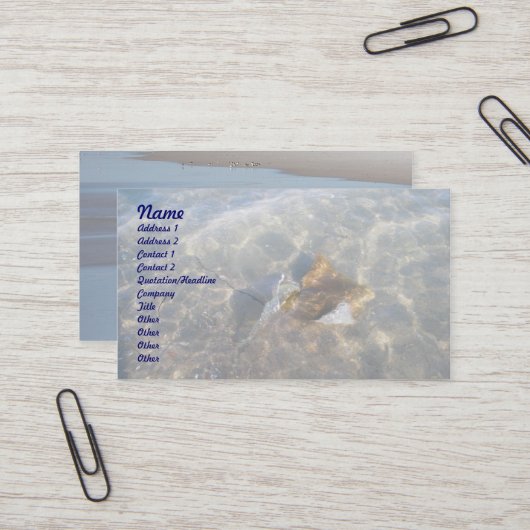 Cownose Stingray OBX Series Visitekaartje (Voorkant / Achterkant in situ)